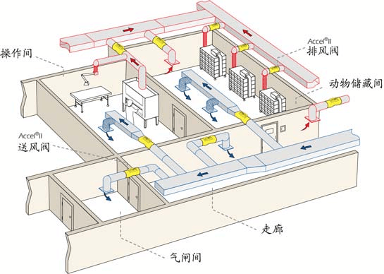 動物實(shí)驗(yàn)室暖通設(shè)計(jì)：凈化動物房裝修  CEIDI西遞